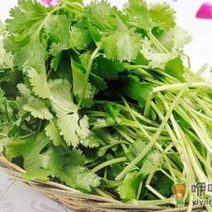 具有独特香气的香菜 食用香菜功效与作用