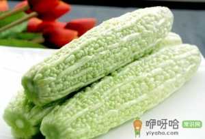 吃苦瓜好吗？苦瓜的营养价值-苦瓜的功效与作用