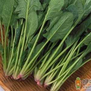 菠菜不能和这9种食物一起吃