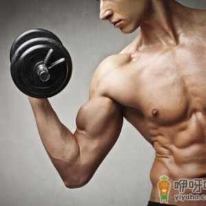 开心果的营养功效-男人吃开心果能助性