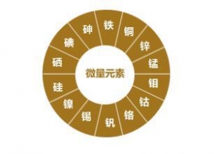 微量元素有哪些呢？微量元素的作用