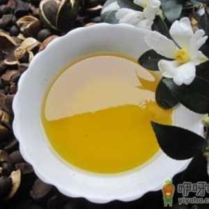茶油的功效与作用-茶油怎么吃？