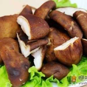 蘑菇养颜功效佳 盘点7种不同类型蘑菇的功效