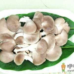 袖珍菇的功效 袖珍菇的做法