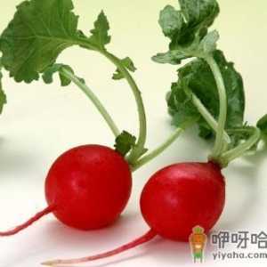 红萝卜的营养价值-红萝卜的功效与作用