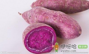 紫薯和红薯的营养价值及区别