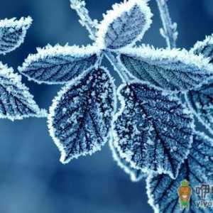 霜降时节可多吃这些蔬菜和汤品
