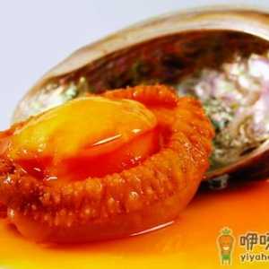 鲍鱼哪些部位不能吃 怎么挑新鲜鲍鱼
