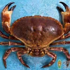 螃蟹死了千万别吃 吃了小心中毒