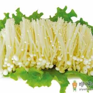 金针菇的营养价值-金针菇的药用价值