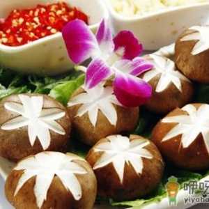 香菇不能和什么食物一起吃？香菇食用禁忌