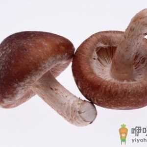 香菇的营养价值与营养吃法