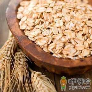 燕麦的营养价值-燕麦的功效与作用