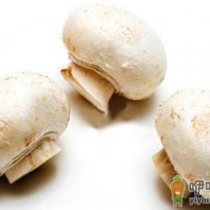 双孢菇的营养价值 双孢菇的做法