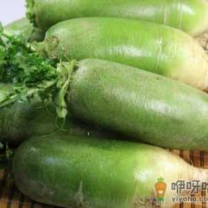萝卜的营养价值-萝卜的功效与作用