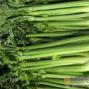 吃西芹有什么好处？西芹的营养价值、功效与作用