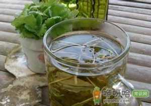 蒲公英泡水喝好吗？蒲公英泡水喝的功效