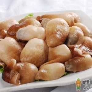 草菇的营养价值和药用功效