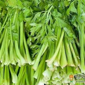 芹菜有哪些药用功效？吃芹菜可预防动脉硬化