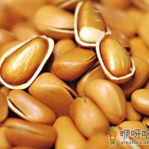 松子和什么搭配吃好？吃松子的注意事项