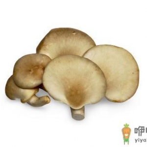 吃鲍鱼菇有什么好处？鲍鱼菇的做法