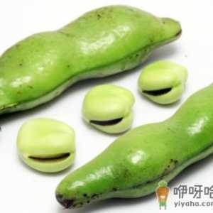 蚕豆的营养价值、功效与作用-蚕豆的做法大全