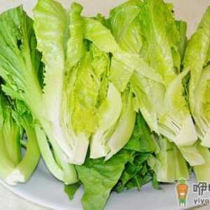 白菜有多种 哪种白菜营养更高？