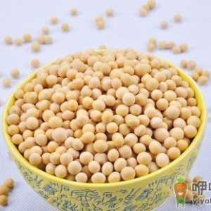 黄豆有什么功效 黄豆的功效与副作用