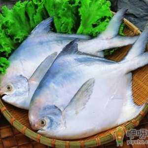 红烧鲳鱼的做法-清蒸鲳鱼的做法
