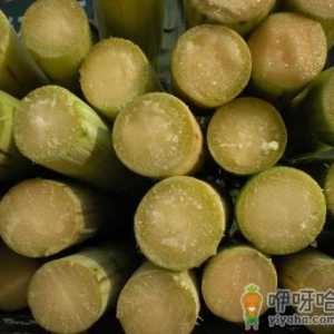 甘蔗怎么做好吃？甘蔗的做法大全