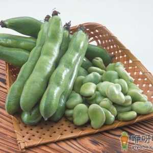 蚕豆的做法-蚕豆的营养价值