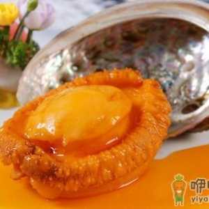 吃鲍鱼有什么营养？鲍鱼的做法
