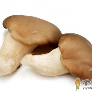 姬菇的营养价值 姬菇的做法