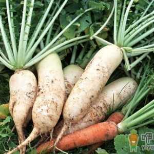 脾虚吃什么蔬菜好？脾虚吃什么杂粮好？