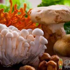 烹饪菌类有讲究 鲜味保留又营养
