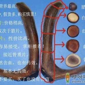 鹿茸片怎么看真假？鹿茸片真假的辨别方法