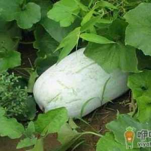 饮食辅助身体清理血液垃圾 为身体做个大扫除