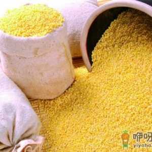 怎么鉴别小米的真假？如何识别染色小米