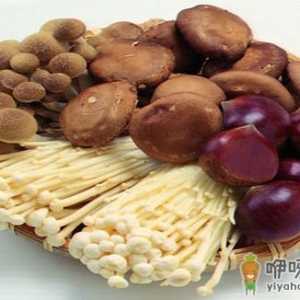 不同的菇类有不同的烹饪方法