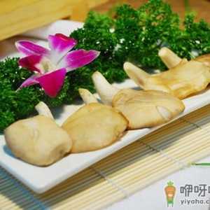 鲍鱼菇的做法-鲍鱼菇的营养价值