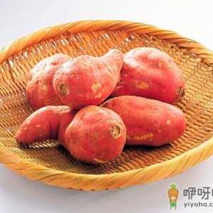 红薯发芽了还能吃吗？红薯的营养价值