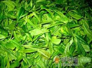 怎样贮存新茶？新茶叶怎样保存？茶叶保存方法
