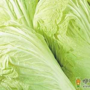 冬季怎样储存大白菜？大白菜的储存方法