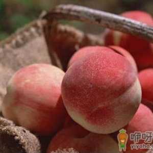 什么样的桃子好吃？怎样挑选新鲜的桃子
