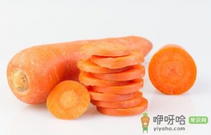 冬季手脚冰凉吃什么好