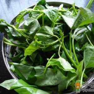清淡的木耳菜帮你开胃