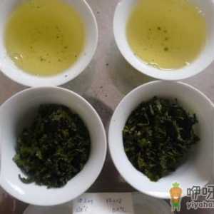 如何鉴别新茶与陈茶