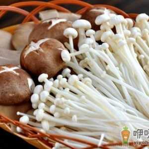 7种蘑菇的家常烹饪窍门