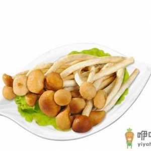 茶树菇老鸭汤的做法 茶树菇食谱