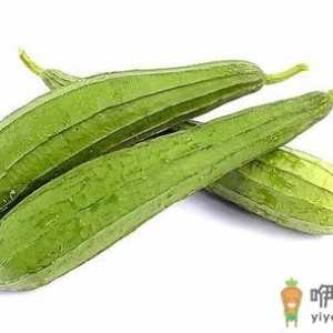 丝瓜上市好美味 细皮嫩肉才最好